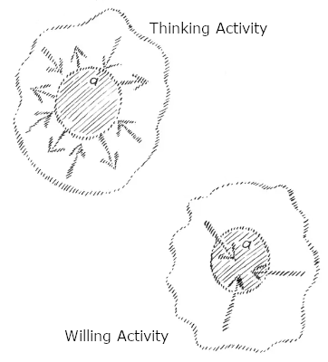 Thinking versus Willing Activity