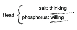 salt and phosphorous in the head
